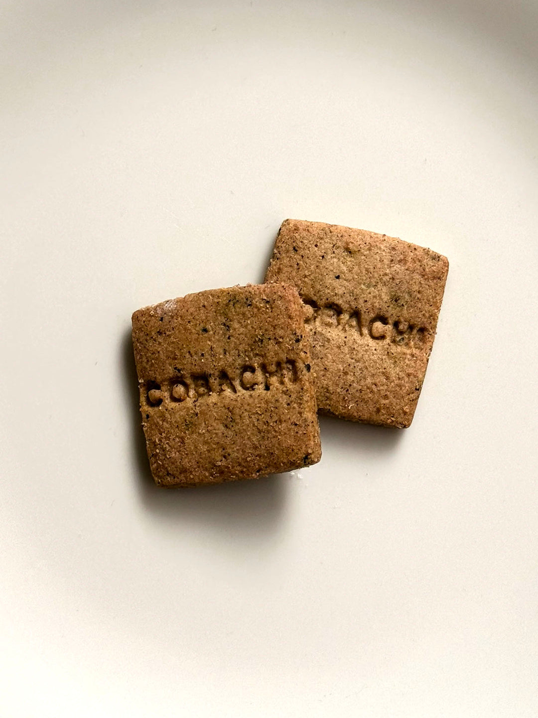 COBACHI Halloween Cookie